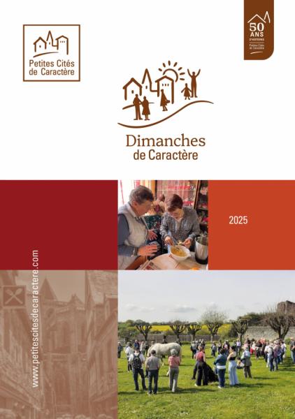 livre_dor_des_dimanches_de_caractere_2025_marron